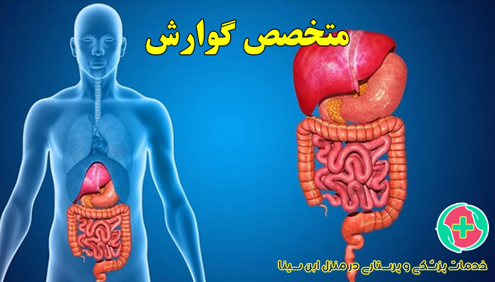 ویزیت پزشک متخصص گوارش در منزل مشهد با خدمات مرکز ابن سینا