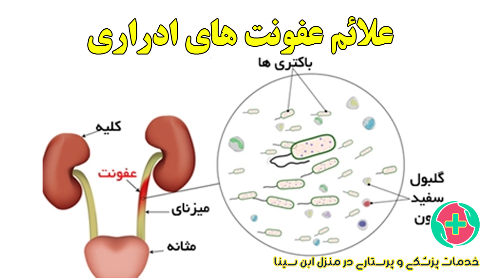 علائم عفونت‌های ادراری و تشخیص با نمونه‌گیری خانگی | مرکز شبانه روزی پرستاری ابن سینا در مشهد