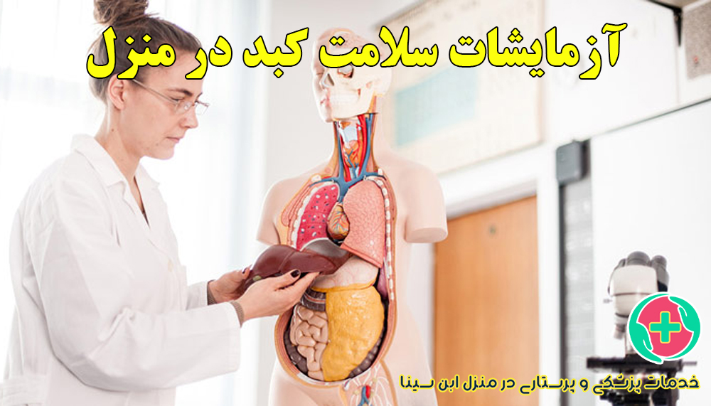 بررسی سلامت کبد در منزل | انجام آزمایشات تخصصی کبد در مشهد